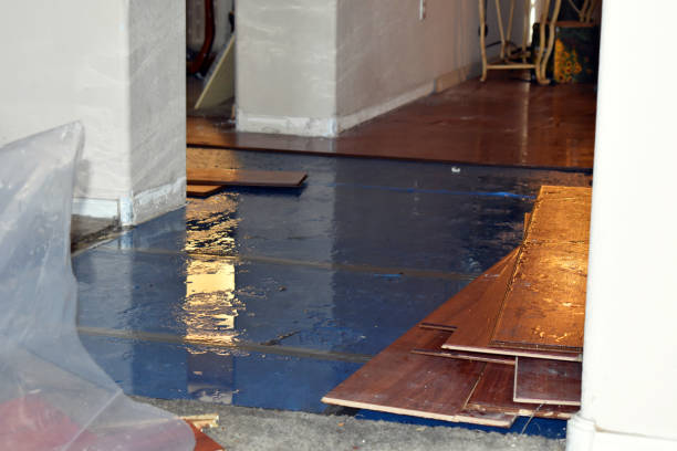 Professional Water Damage technician working in Helm, CA